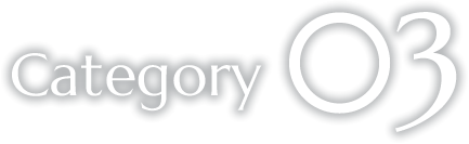 Category03