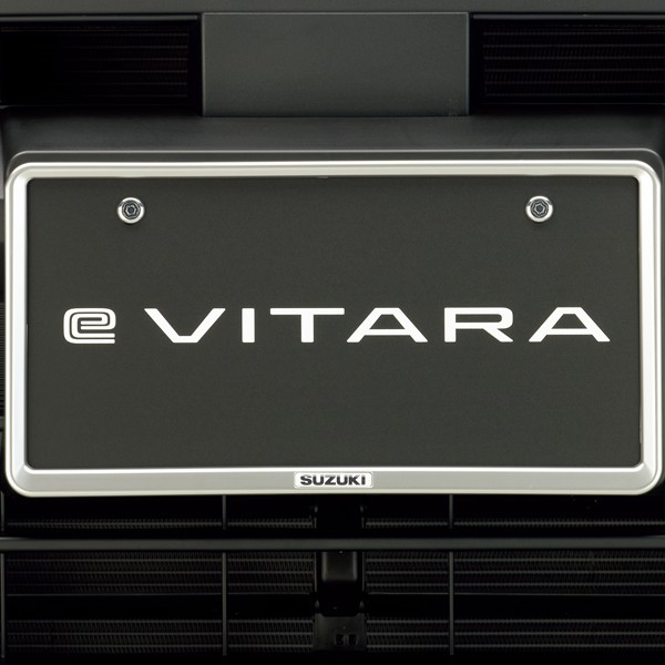 ナンバープレートリム（シルバー塗装）&ナンバープレートロックボルトセット