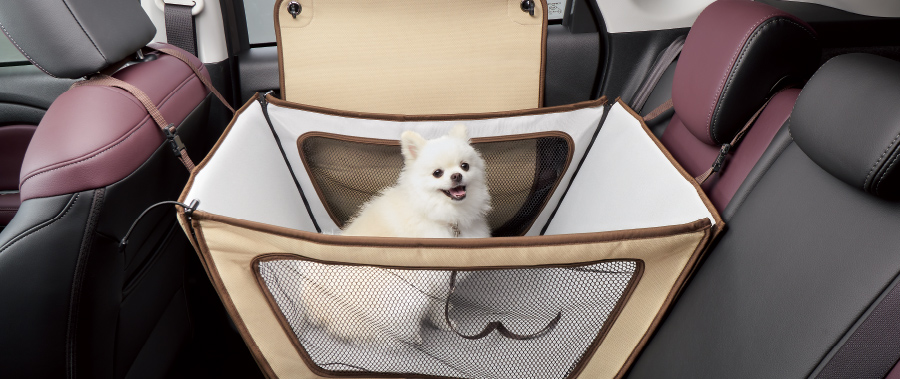 ペットサークル