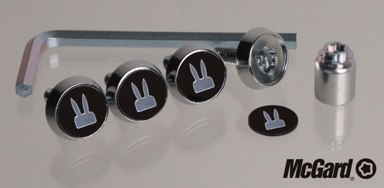 ナンバープレートロックボルト（ロゴ入り）