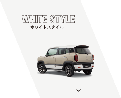 ホワイトスタイル