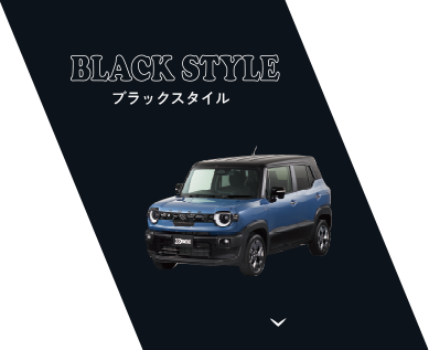 ブラックスタイル